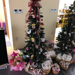 紅葉バレエスタジオ | Beniha Ballet Studio