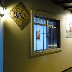 FLAMENCO Carol Ferrari