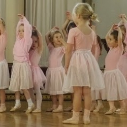 Curtis School Of Dance