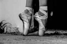 photo-1622838854324-41ad9adabc55